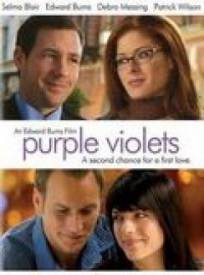 Just You Purple Violets