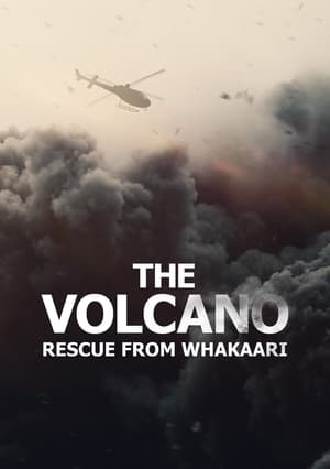Whakaari Dans Le Pige Du Volcan