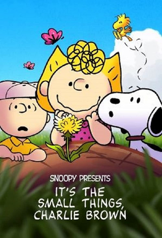 Snoopy Presents Its The Small Things Charlie Brown