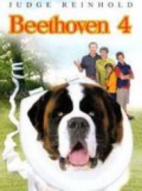 Beethoven 4 Beethovens 4t